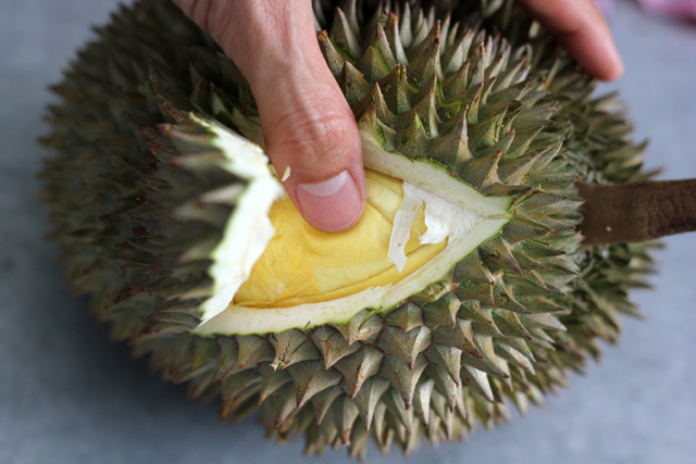 Indulge on Your Durian Through These Fun and Exciting Ways