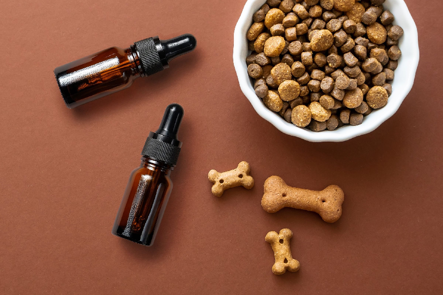 Safe And Natural CBD Treats For Dogs