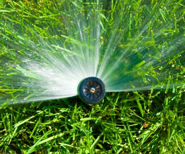 Troubleshooting Your Garden’s Retic System: Finding broken sprinklers!