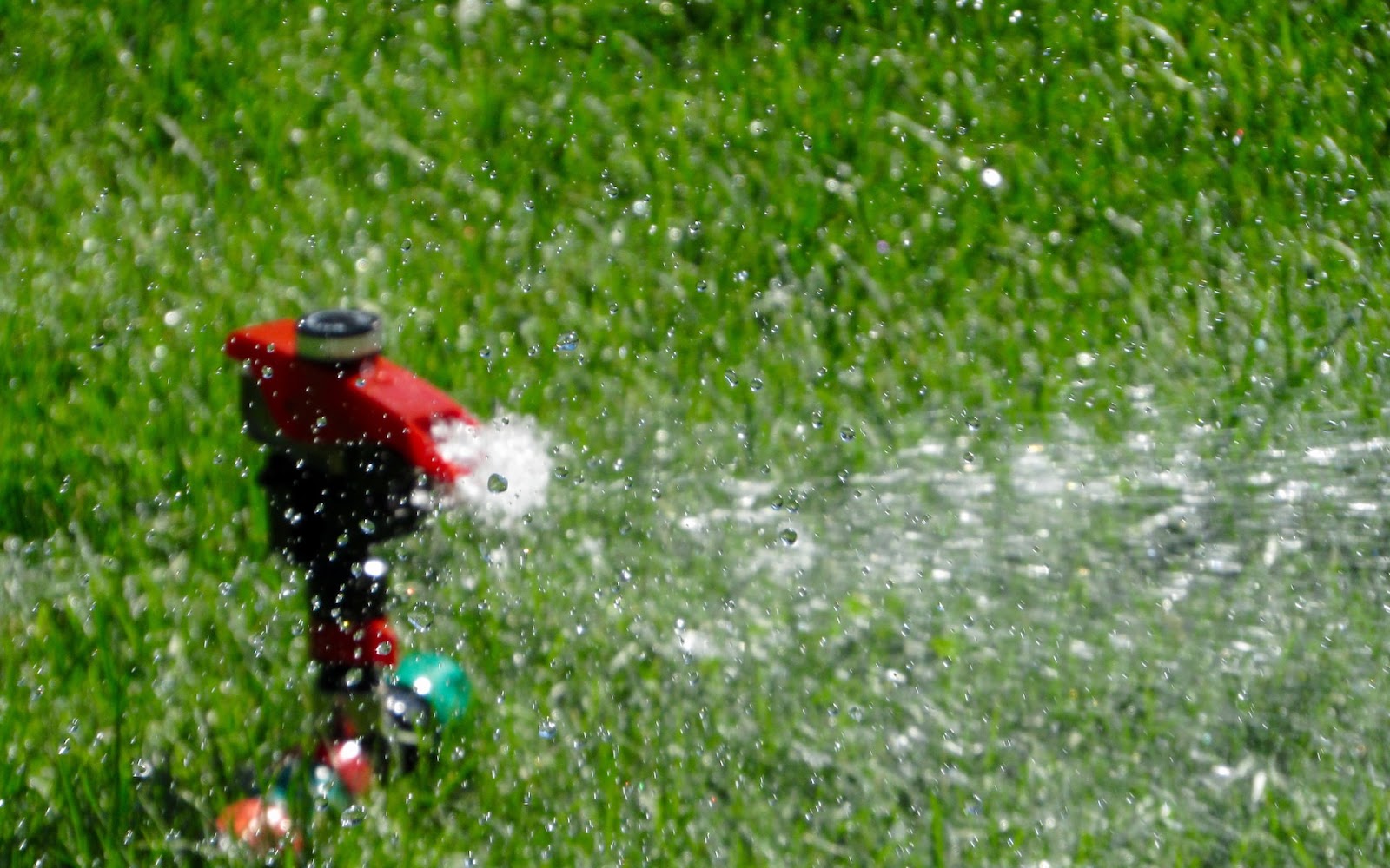 Lawn Watering Secret Tips & Tricks